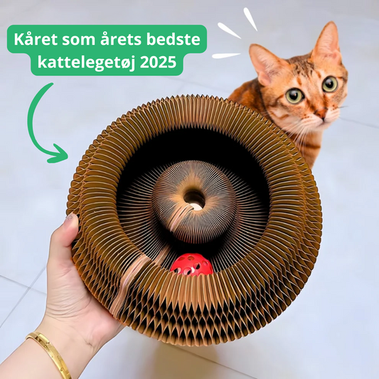 Kitty Waves™ – Interaktivt kattelegetøj